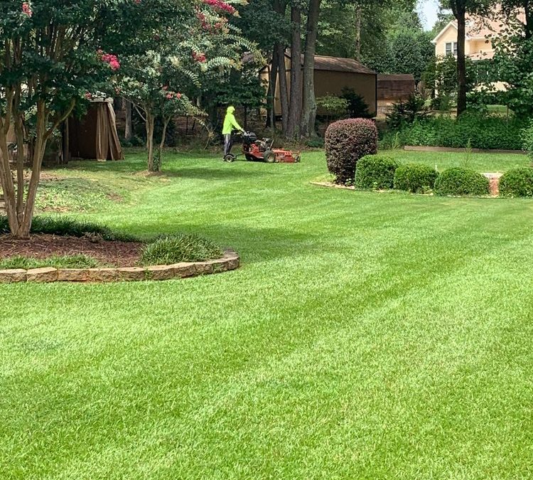 Achieve a Healthy, Weed-Free Lawn with Sam’s Personal Landscaping!