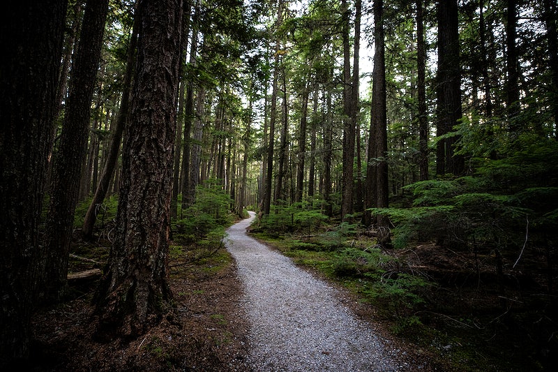 Exploring Nature: Family-Friendly Trails in Coweta & Fayette Counties