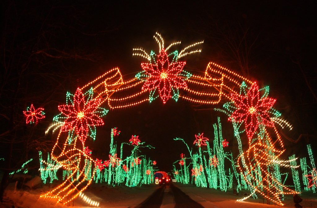 Rebuilding a Resilient Fayetteville: The Heartwarming Story of the Gaddy’s Christmas Light Display